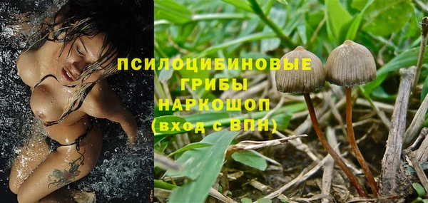 стафф Бугульма