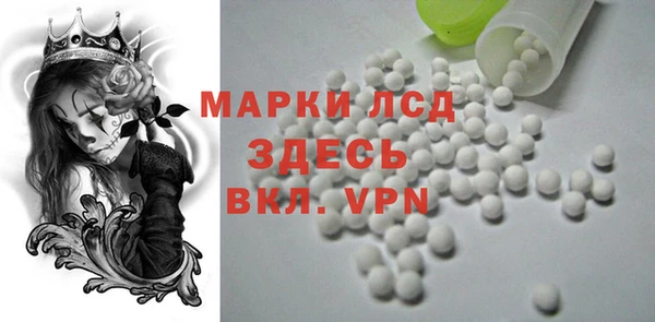 дживик Туринск