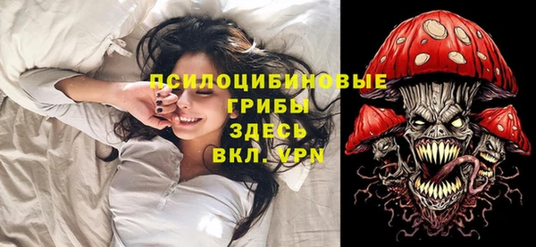 ГАЛЛЮЦИНОГЕННЫЕ ГРИБЫ Бронницы