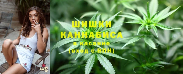 PSILOCYBIN Тында