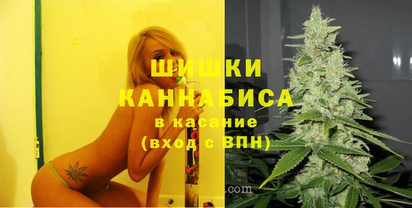 PSILOCYBIN Остров