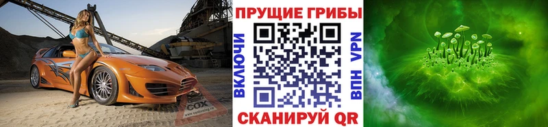 Галлюциногенные грибы GOLDEN TEACHER  Новохопёрск 